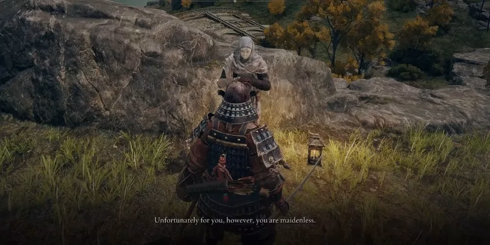 the-phenomenon-of-the-no-maidens-meme-a-modern-internet-saga-image-0