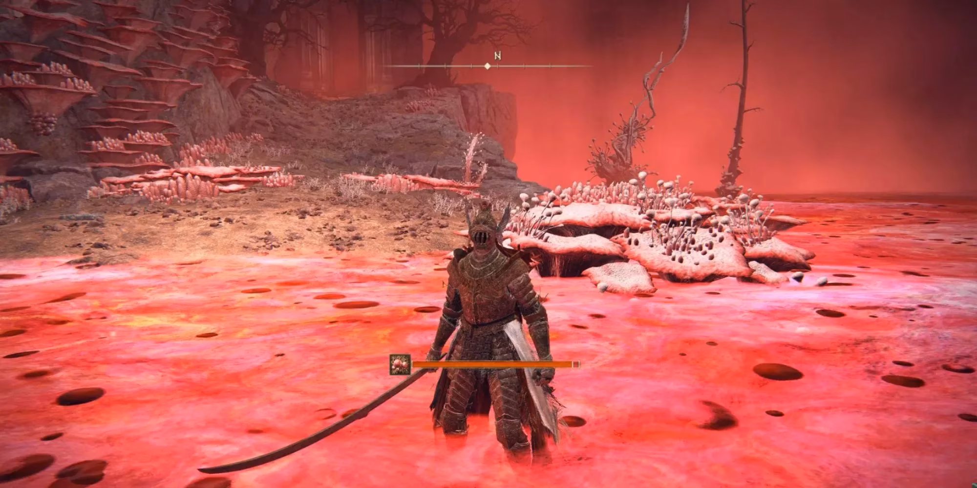 conquering-the-scarlet-rot-the-ultimate-guide-to-preserving-boluses-in-elden-ring-image-0